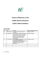HSE Audit Risk Committee Terms of Reference front page preview
              